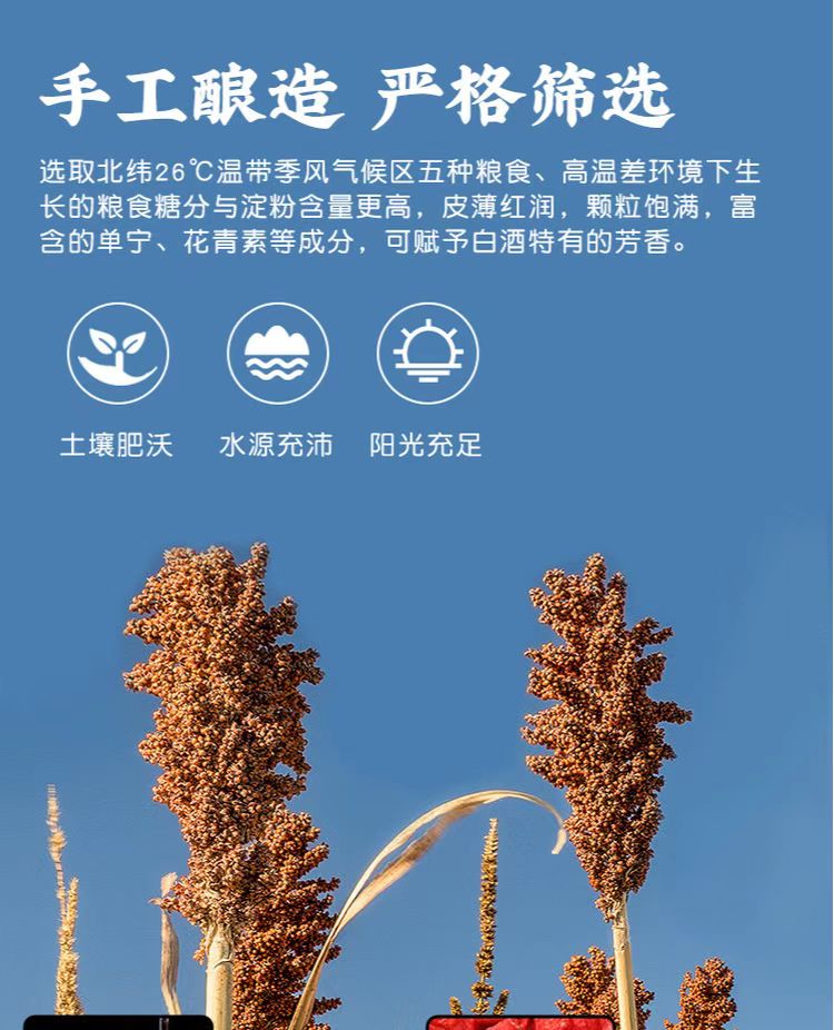 微信图片_202209150928515.jpg